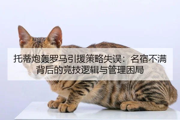 托蒂炮轰罗马引援策略失误：名宿不满背后的竞技逻辑与管理困局（hth）